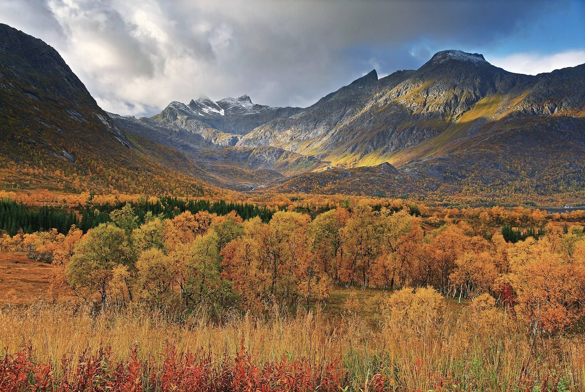 Norsk fjord i efterårsfarver ved Gullesfjordbotn