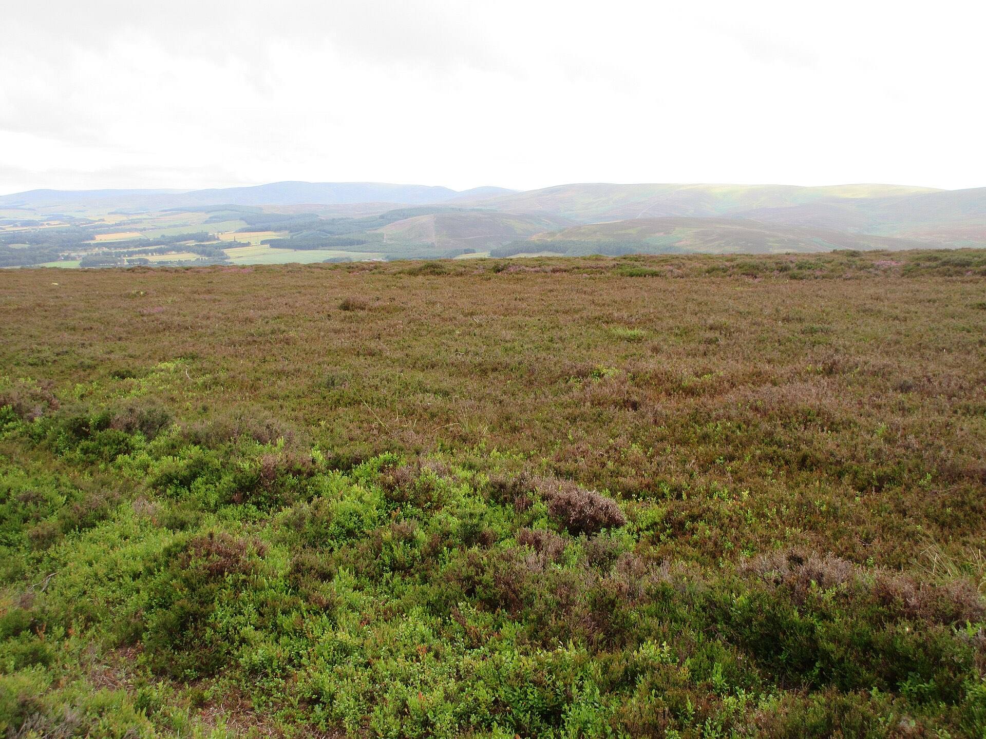 Lyngklædt skotsk moor på Strathfinella Hill